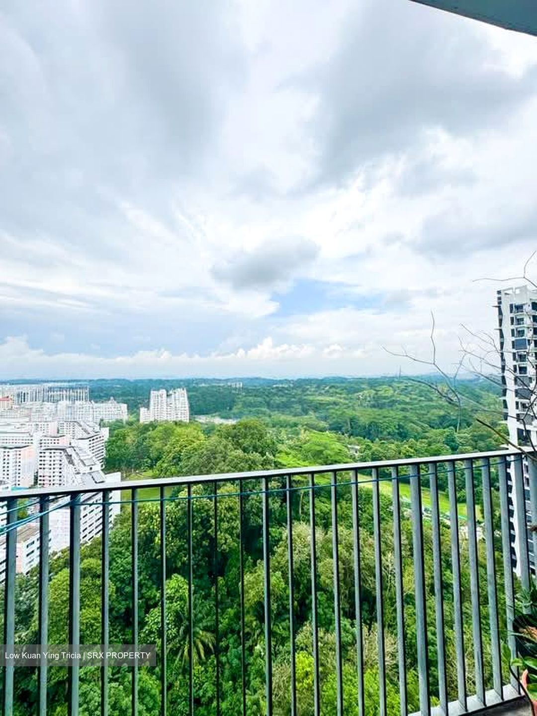 Eco Sanctuary (D23), Condominium #566899751